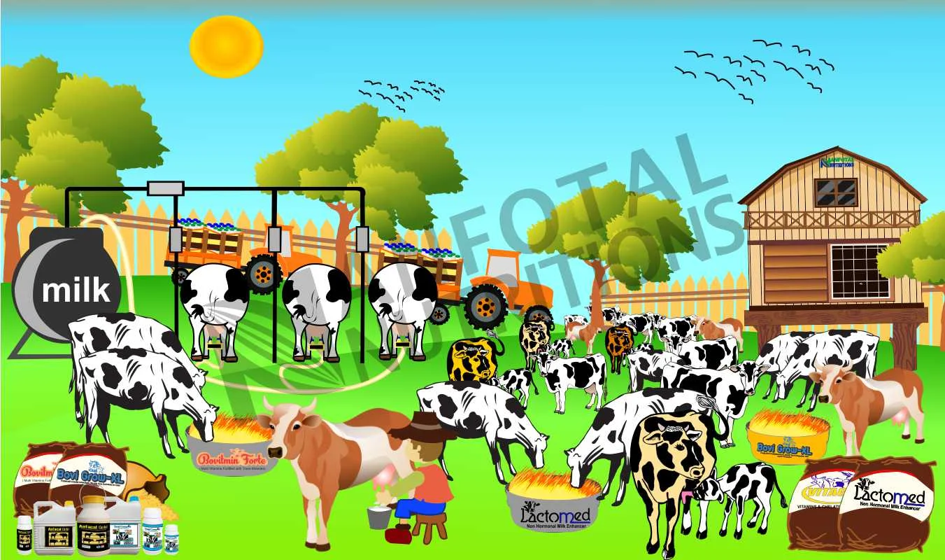 cattle-image